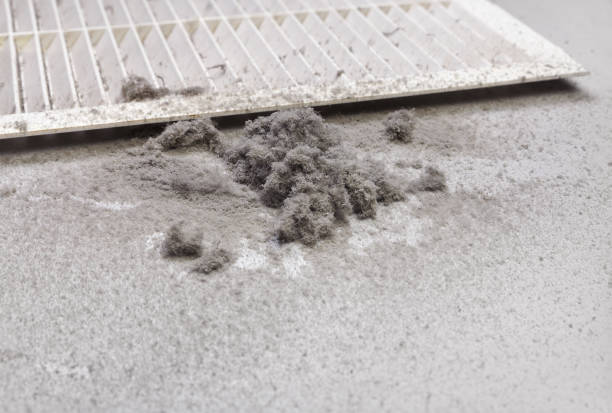 Best Best Air Duct Cleaning Company  in Muhlenberg Rk, PA